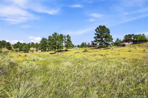 10461 Black Forest DR, Parker, CO 80138