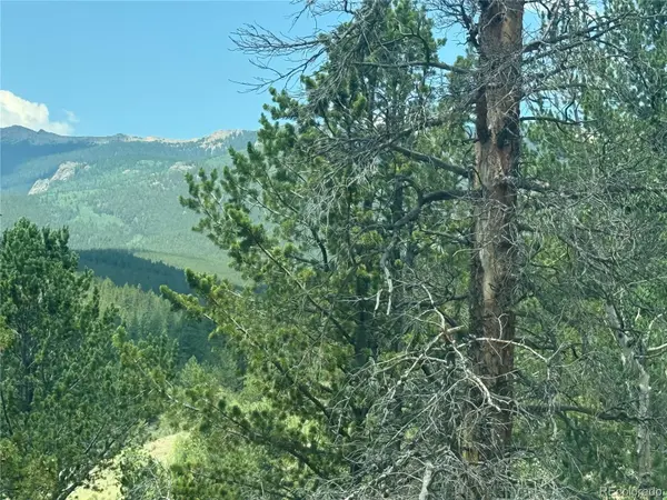 63 Fitzsimmons RD, Bailey, CO 80421