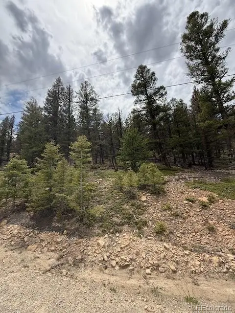 2689 Redhill RD, Fairplay, CO 80440