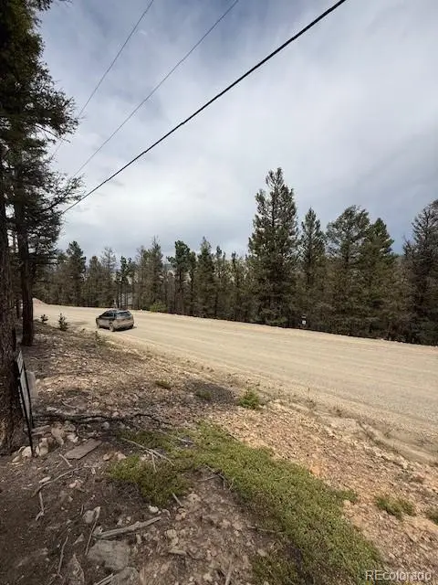 2689 Redhill RD, Fairplay, CO 80440