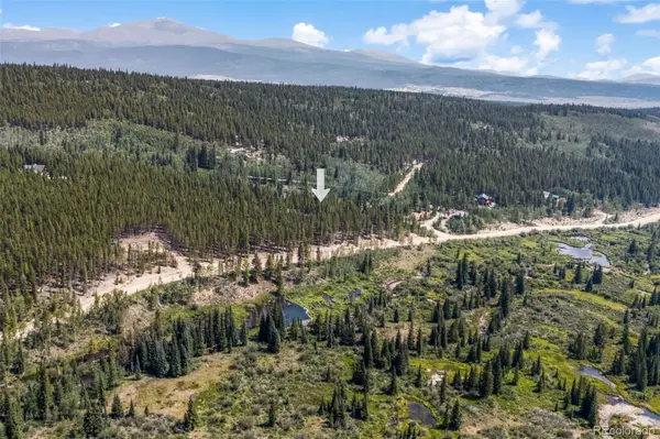 3075 Nugget RD, Fairplay, CO 80440