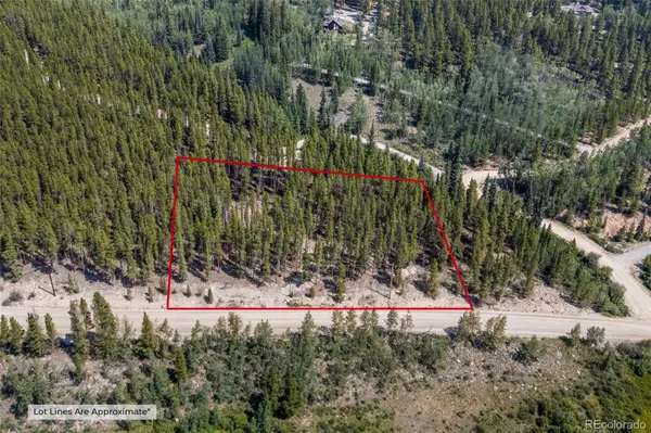 3075 Nugget RD, Fairplay, CO 80440
