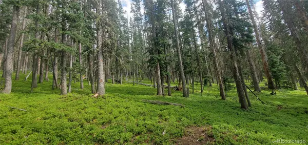 Lot 6542 Schlueter RD, Fort Garland, CO 81133