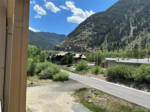 1494 Rose ST, Georgetown, CO 80444
