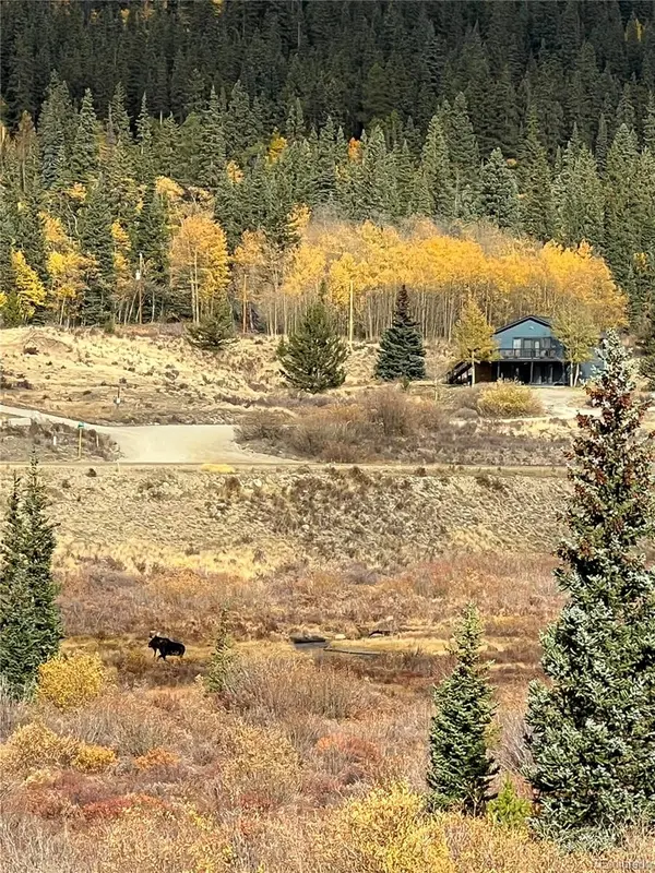 141 Quartzville RD, Alma, CO 80420