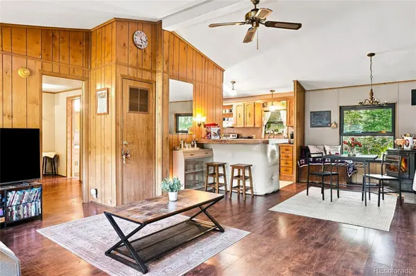 5099 County Road 64, Bailey, CO 80421