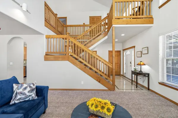 13272 Riley Peak RD, Conifer, CO 80433