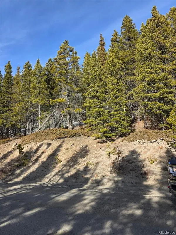 Lot 680 Alice RD, Idaho Springs, CO 80453