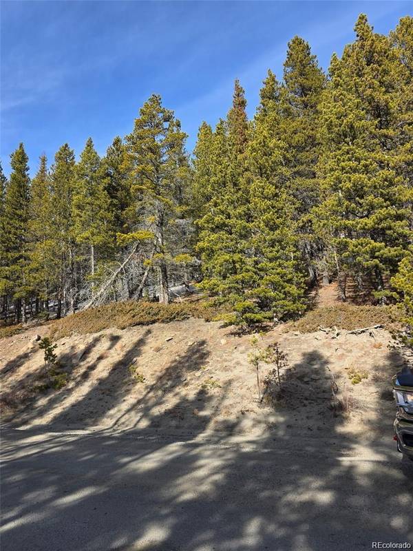Lot 680 Alice RD, Idaho Springs, CO 80453
