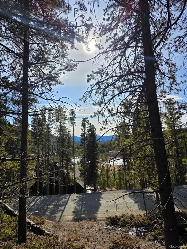 Lot 680 Alice RD, Idaho Springs, CO 80453