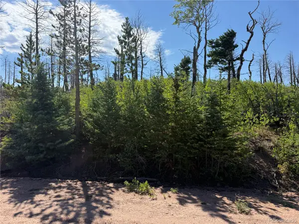 Lot 2499 Gilmartin LN, Fort Garland, CO 81133