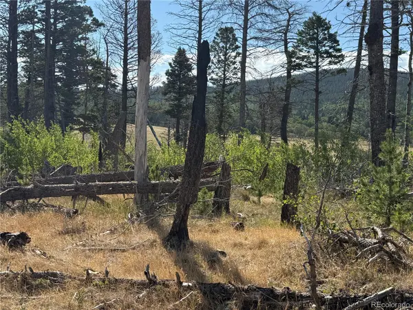Lot 2499 Gilmartin LN, Fort Garland, CO 81133