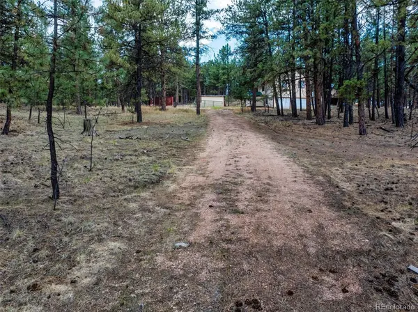 41 & 73 Ingels DR,  Florissant,  CO 80816