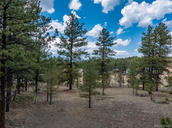 41 & 73 Ingels DR, Florissant, CO 80816