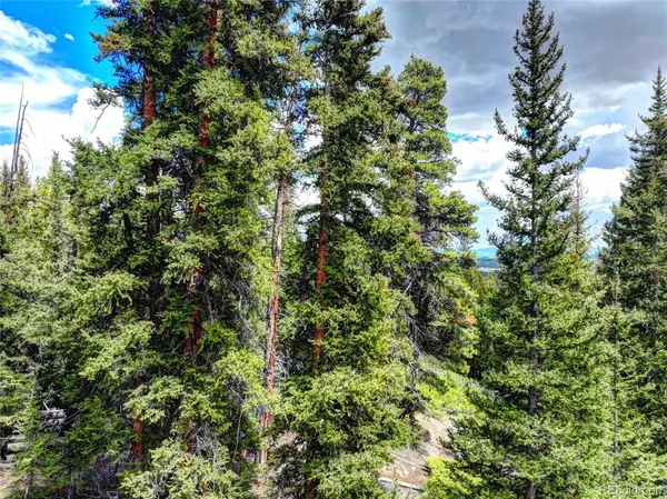 0 Dry Gulch RD, Fairplay, CO 80440