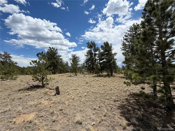 11840 Clear Creek RD, Hartsel, CO 80449