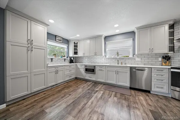 10654 Apishamore CT, Parker, CO 80134