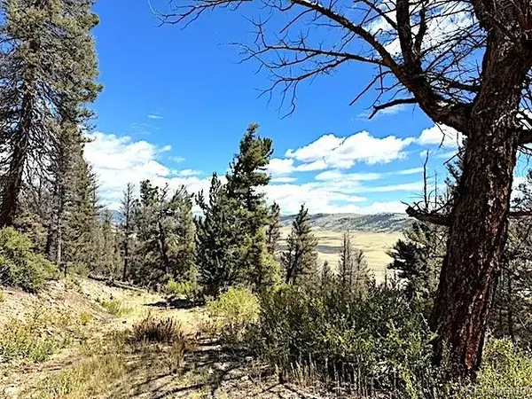 2022 Middle Fork VIS, Fairplay, CO 80440