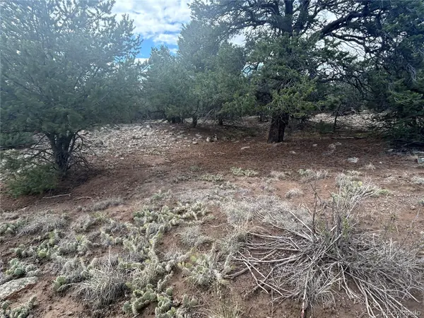 1661 Willow Creek WAY, Crestone, CO 81131