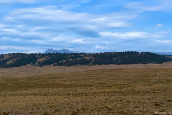 4318 Cimarron DR, Hartsel, CO 80449