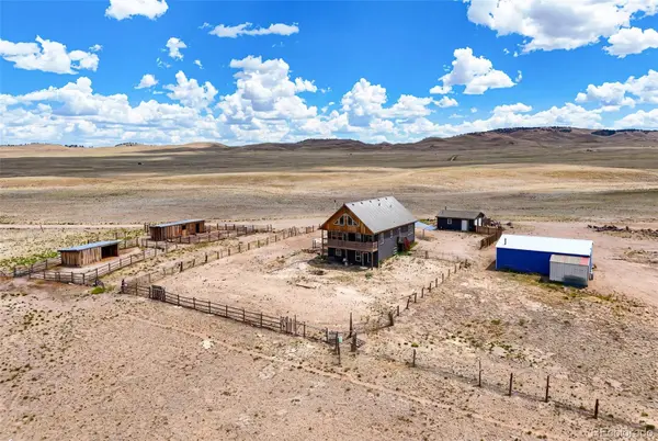 1406 Coweta TRL, Hartsel, CO 80449