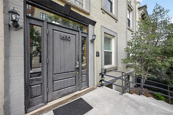 1650 N Pearl ST #11, Denver, CO 80203