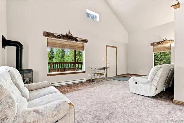 271 Willow LN, Alma, CO 80420