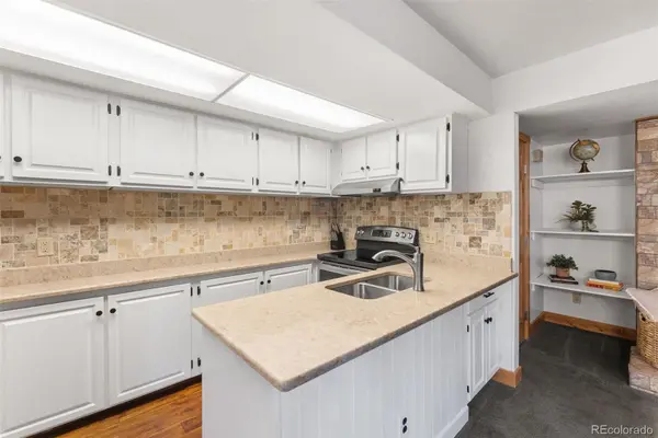 423 Wild Irishman RD #13204, Dillon, CO 80435