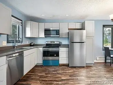 93 Doc Susie AVE #E5, Fraser, CO 80442