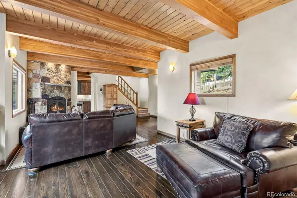 101 County Road 531, Breckenridge, CO 80424