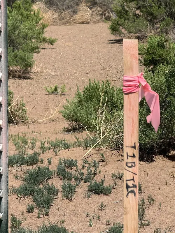 1 Lane 2, Mosca, CO 81146
