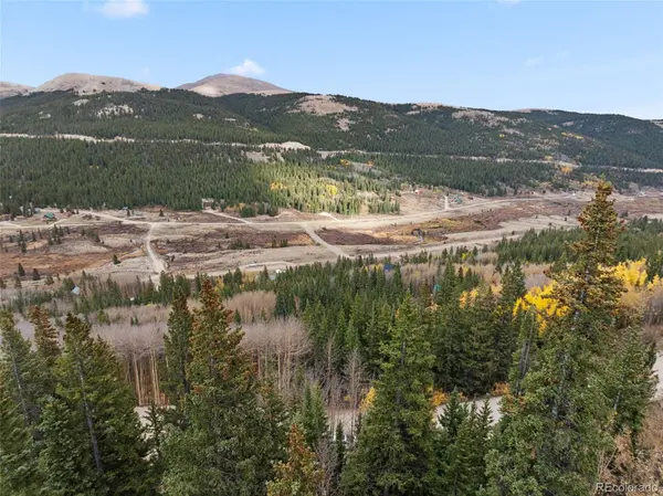 Tract B Roberts RD, Alma, CO 80420