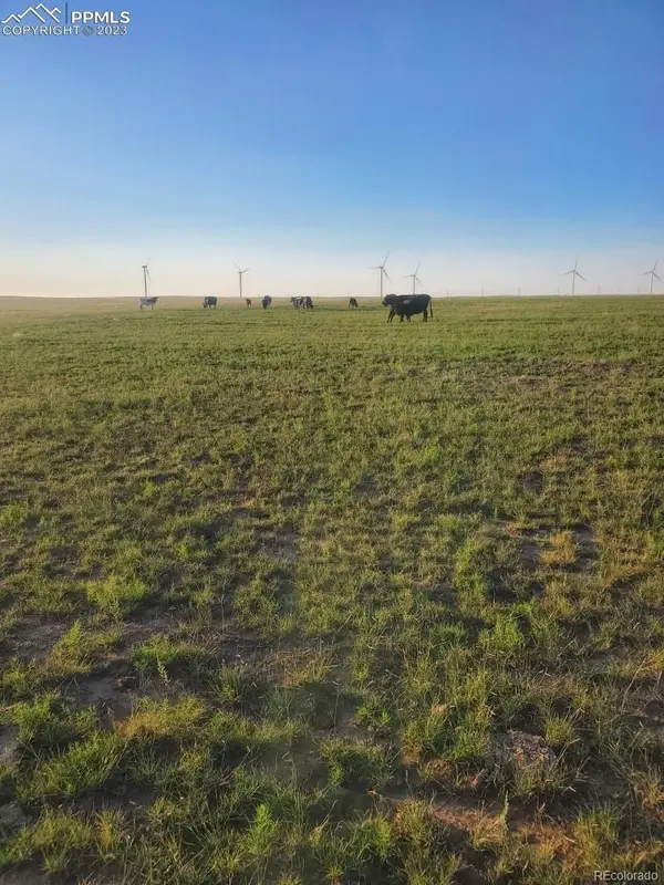 169 County Road, Matheson, CO 80830