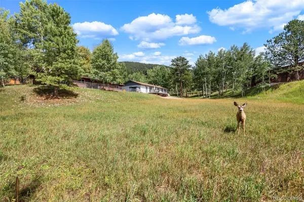 1035 Park View, Woodland Park, CO 80863