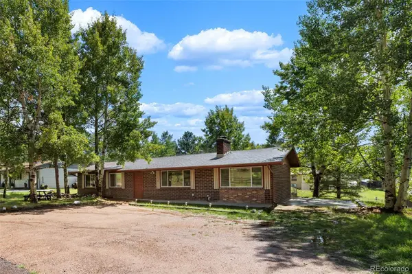 1035 Park View, Woodland Park, CO 80863