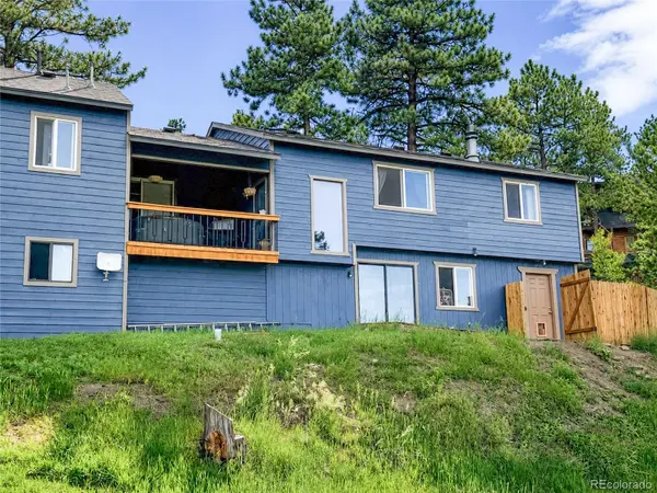 153 Chickadee LN, Bailey, CO 80421