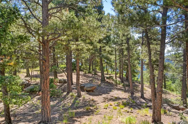 276 Crystal Park RD, Manitou Springs, CO 80829