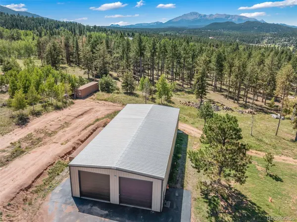 100 Mills Ranch RD, Woodland Park, CO 80863