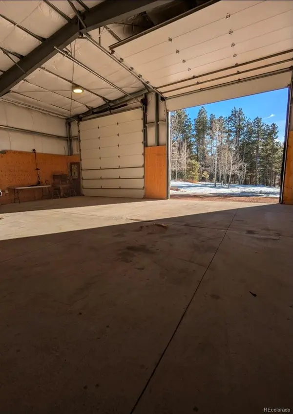 100 Mills Ranch RD, Woodland Park, CO 80863