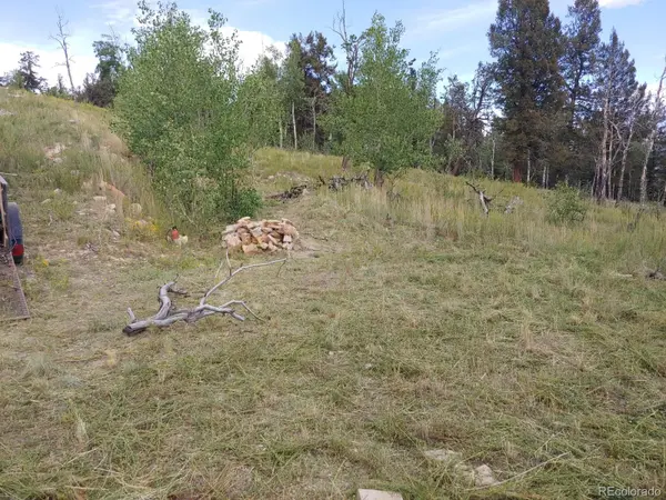 Lot 525 Middle Fork VIS, Fairplay, CO 80440