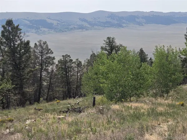 Lot 525 Middle Fork VIS, Fairplay, CO 80440