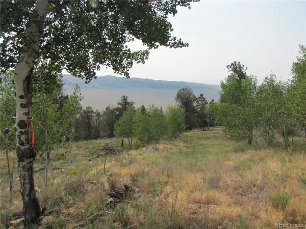 Lot 525 Middle Fork VIS, Fairplay, CO 80440