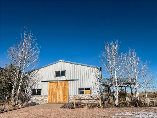 10555 Big Sky TRL, Elbert, CO 80106