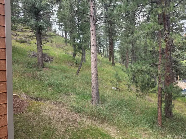 4897 Silver Spruce LN, Evergreen, CO 80439