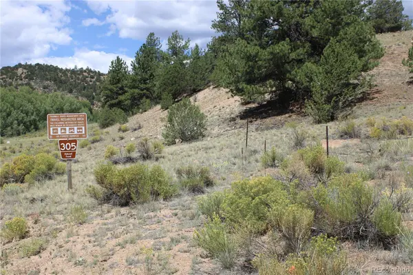 29355 Cr-305, Buena Vista, CO 81211