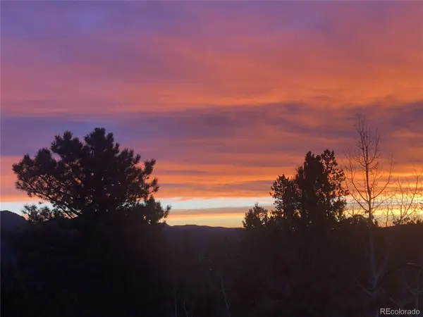890 Royal Ridge DR, Bailey, CO 80421