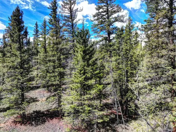 75 Swiggler RD, Jefferson, CO 80456