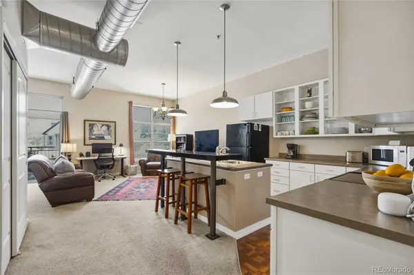 2900 N Downing ST #202, Denver, CO 80205