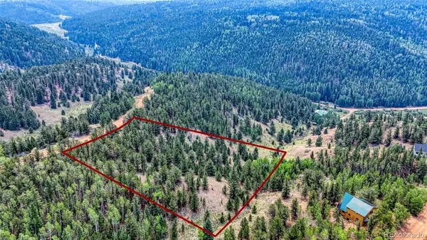 71 Brown Bear LN, Cripple Creek, CO 80813