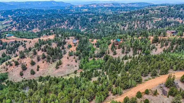 71 Brown Bear LN, Cripple Creek, CO 80813
